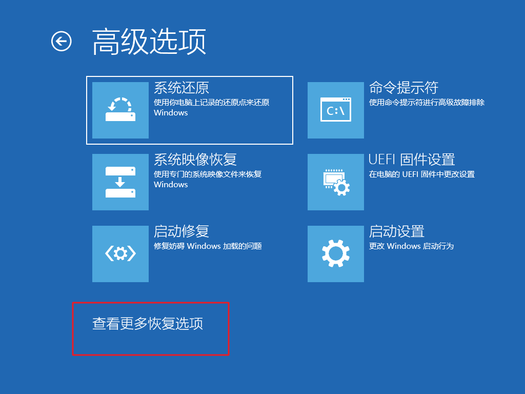 5-查看更多恢復(fù)選項(xiàng)