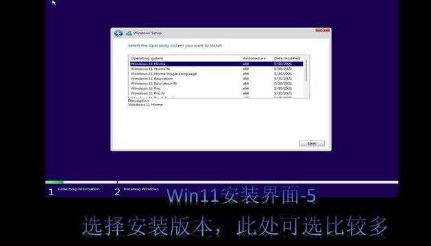 4-選擇win11安裝版本